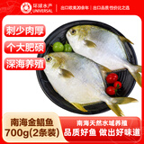 环球水产南海金鲳鱼净重700g/2条BAP认证深海鱼类海鲜家庭聚餐