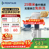 滨特尔（pentair）前置过滤器大通量家用25微米仿鳃叠片 全屋自来水管道过滤器大流量净水器排行前十名 【新品升级】L250仿鳃叠片-25μm
