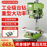 HOYUNSTORM台钻工业级大功率钻铣床攻多功能高精度钻孔机小型台式钻床工作台 550W钻孔单用(直径16MM) 三相电380V