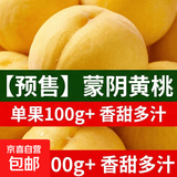【东东农场专供】蒙阴黄桃山东黄金蜜毛桃油桃新鲜水果脆甜桃子 【香甜多汁】单果100g+ 3-6粒