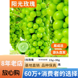欧悟【买2颗送1颗】嫁接葡萄树苗 南北方种植盆栽地栽庭院阳台果树苗 阳光玫瑰葡萄 六年大苗当年结果