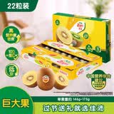 佳沛（zespri）新西兰金果巨大果22粒原箱单果146-175g 端午礼物水果礼盒 猕猴桃