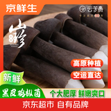 京鲜生云南新鲜黑皮鸡枞净重1斤鲜菌菇特产煲汤火锅食材源头直发