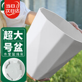 寿禾 花盆带托盘塑料树脂盆家庭园艺绿植花卉种植 木里盆超大号-浅灰