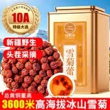 福东海头采昆仑雪菊胎菊200克 正宗【10A特级新疆野生】天山雪菊花茶