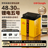 功孚锂电五号电动车锂电池48V30Ah大容量电瓶车电摩电池雅迪爱玛台铃