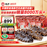 晓芹大连即食海参3斤35-50只 固形物≥75% 辽刺参 海鲜水产