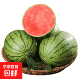 手剥皮小西瓜2K小糖丸西瓜新鲜水果薄皮西瓜脆甜手撕红肉甜瓜整箱 小糖丸3-4斤(1-2粒)