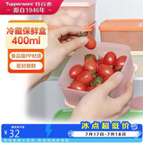 特百惠（Tupperware）冷藏400ml*2保鲜盒蔬菜水果收纳盒食品级冰箱储物盒密封不串味