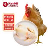 天农供港土鸡跑山鸡 2.4斤 山林慢养清远走地鸡 冷冻 红烧煲汤食材