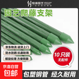 包塑钢管园艺支架杆黄瓜豆角葡萄种菜爬藤架绿植架攀爬架 直径20mm 长度210cm【10支装无配件】