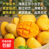 四川攀枝花青黄皮凯特芒新鲜上市芒果热带果园生鲜新鲜水果非榴莲 带箱2斤经净重1.5斤单果200g+