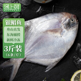 遇上鲜 舟山鲳鱼 东海捕捞大白鲳银鲳 净含量3斤(6条/斤) 源头直发