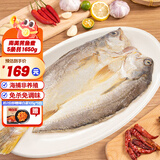 三都港非养殖南美黄鱼鲞3-6条装 免杀黄花鱼生鲜海鲜烹饪食材深海鱼新鲜 南美黄鱼鲞5条共1650g（非养殖越大越少越珍贵）