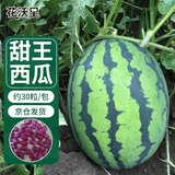 花沃里甜王西瓜种30粒 蔬菜种子家庭阳台花盆西瓜种植土庭院田间种菜籽