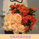 芊芊细语斗南基地直批发玫瑰鲜花全国速递配送女友礼物家用水养插花家庭 10支香槟玫瑰+5支多头橙色泡泡+送保鲜剂