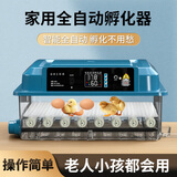 维谦（WEIQIAN）全自动孵化器自动上水多功能芦丁鸡鸭鹅孵蛋箱孵蛋器家用孵化机 6枚单电 显示温度+送水瓶