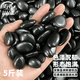 寿禾黑色鹅卵石造景原因庭院铺路脚踩垫石子 黑色鹅卵石0.9-1.8cm5斤