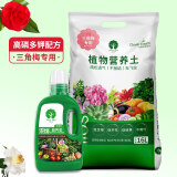 漫生活三角梅营养土16L/袋+通用营养液500ml(组合装)氮肥磷钾肥复合肥