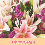 芊芊细语斗南基地直发百合桔梗鲜花鲜切花家用水养插花送女朋友生日礼物 10朵粉色百合+勿忘我
