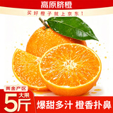 山姆伯伯 脐橙【闪送】新鲜橙子整箱果冻甜橙应季水果礼盒装 【力荐-果大香甜】100-150g/个 【精美礼箱】5斤装丨送礼推荐丨净4.5