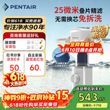 滨特尔（pentair）前置过滤器大通量家用25微米仿鳃叠片 全屋自来水管道过滤器大流量净水器排行前十名 【新品升级】L250仿鳃叠片-25μm