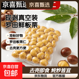 【现剥真空装】罗田新鲜板栗仁去壳去内皮板栗生栗子仁板栗肉蔬菜 去壳生板栗仁单人2袋 500g 含100g保鲜剂