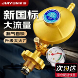 家韵（jiayun）液化气减压阀煤气罐安全新国标防爆燃气灶调低压阀门配件