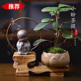 诗甲 小盼菩提绿植盆栽小盆景办公室内客厅阳台禅意花卉节日高档送礼 菩提+佛陀+倒流香一盒（无苔藓）