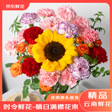京东鲜花晴日满襟鲜花花束玫瑰康乃馨向日葵15-17枝源头直发