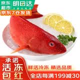 哆鲜生 三去石斑鱼 海捕鲜活冷冻东星斑龙趸斑鱼类年货礼盒 三去东星斑 净重900-750克