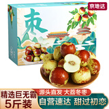 京地达陕西大荔冬枣 净重5斤果王礼盒 单果22g+ 脆甜鲜枣 源头直发