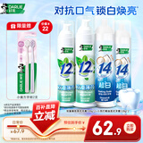 好来（DARLIE）原黑人牙膏去黄去渍美白除臭清新口气120g*4支