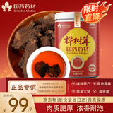 崇芝林国药药材桦树茸足树年龄黑金搭黑精桦褐孔菌桦树茸块300g