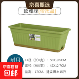植卉居阳台种菜盆种菜神器阳台蔬菜长方形塑料长条花盆槽盆栽种植 双拼长盆-致雅绿【50*17】带托盘
