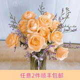 芊芊细语斗南基地直批发玫瑰鲜花全国速递配送女友礼物家用水养插花家庭 香槟玫瑰10支送情人草+送保鲜剂