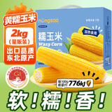 东北农嫂糯玉米穗 糯玉米段 软糯香 吉林原产 真空玉米 低脂粗粮 【爆款礼盒】黄糯玉米礼盒2kg 约8根