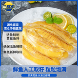 三都港 冷冻洄游季黄花鱼籽350g 大黄鱼籽 高蛋白 生鲜 鱼类 海鲜水产