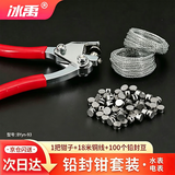 冰禹 铅封钳套装【京仓】铅印钳水表电表封口线双绞铅封扣 钳+铜线18米+100豆(1套) BYyn-93