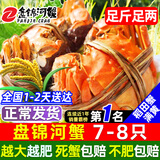 【活蟹】网兜蟹辽宁盘锦河蟹稻田河蟹礼盒螃蟹鲜活大闸蟹无绳净重 六月黄丨1.2-1.4两【1斤】7-8只