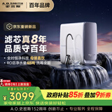 史密斯（A.O.SMITH）佳尼特【26年新品】蓝鲸1000G家用净水器厨房专用台下净水机直饮一体机8年RO膜 CR2500AE3