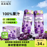 菲里维尔 FERRIS WHEEL葡萄桑葚汁饮料100%果汁饮品 200ml*12瓶 0防腐剂0脂肪