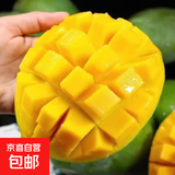 攀枝花凯特芒果台农芒应季热带时令芒果水果整箱送礼 净重8.5-9斤单果500g