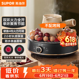 苏泊尔（SUPOR）【价保618】迷你电陶炉 煮茶器煮茶炉煮茶壶 养生围炉煮茶泡茶办公家用不挑器具SW-DTL05