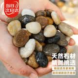 寿禾 鹅卵石鱼缸装饰造景天然石头庭院花盆铺面 0.8-1.5cm鹅卵石5斤