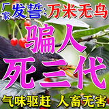 驱鸟神器高效赶鸟特效药农田庄稼果园玉米地户外防鸟驱鸟剂药包 一包装【三十小包】鸟不再来