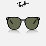 雷朋（RayBan）太阳镜男女款偏光墨镜舒适眼镜0RB4423D