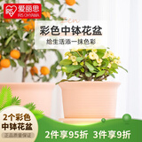 爱丽思花盆塑料加厚家用阳台盆景多肉专用盆栽盆 粉色口径15.6cm2个装