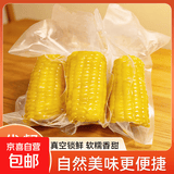 精品黄糯玉米 真空包装 新收粘玉米糯玉米加热即食粗粮代餐 黄金8cm玉米2段 单段130-180g