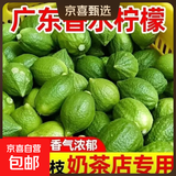 京喜加广东香水柠檬饮品店专供青柠檬果园直供香水柠檬柠香浓郁酸爽多汁 广东香水柠檬【净重50g+/粒】6粒